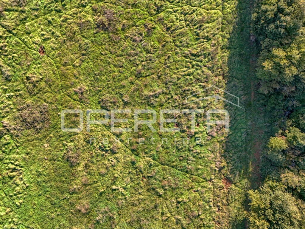Image 6170401 - 4