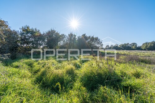Thumbnail 6170402 - 5