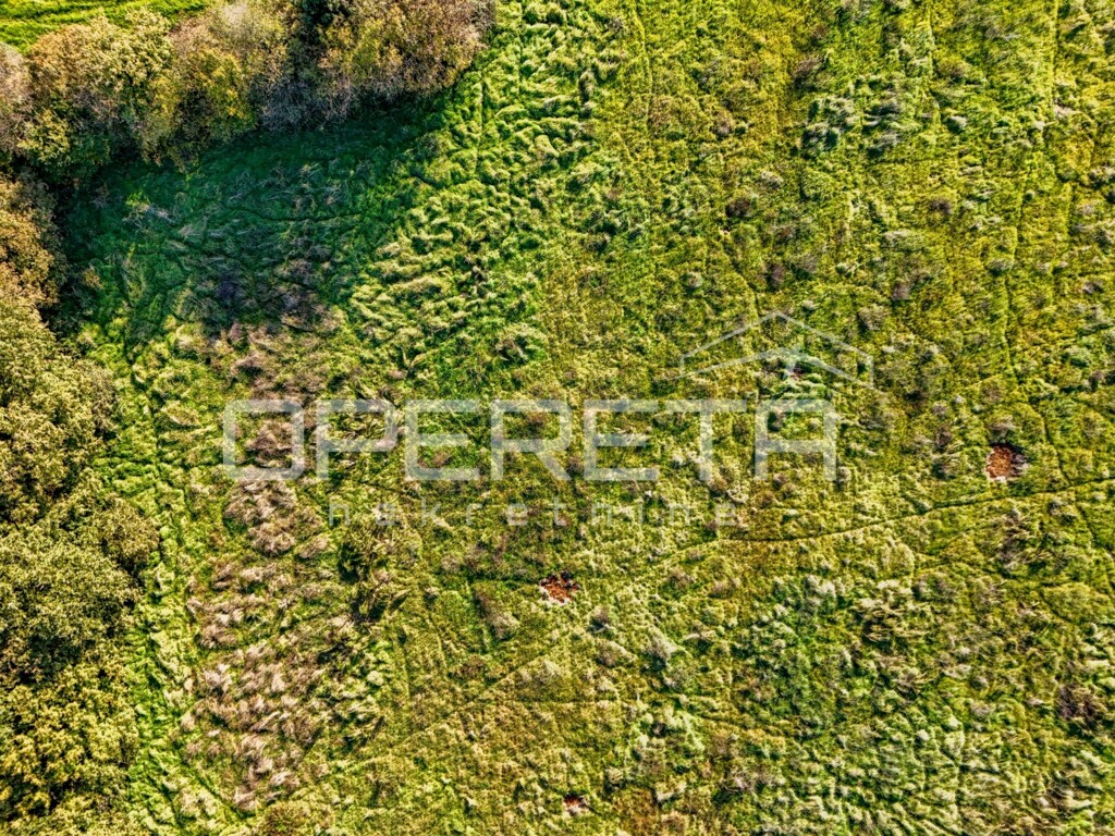 Image 6170402 - 2