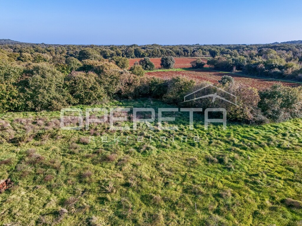Image 6170402 - 1