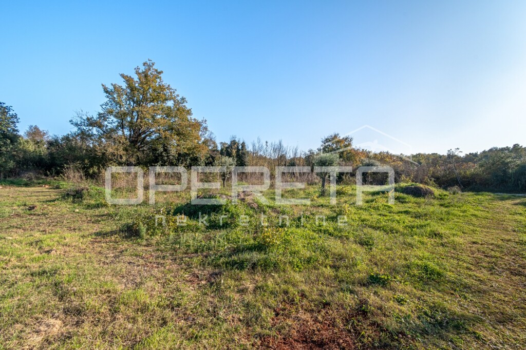 Image 6170404 - 1