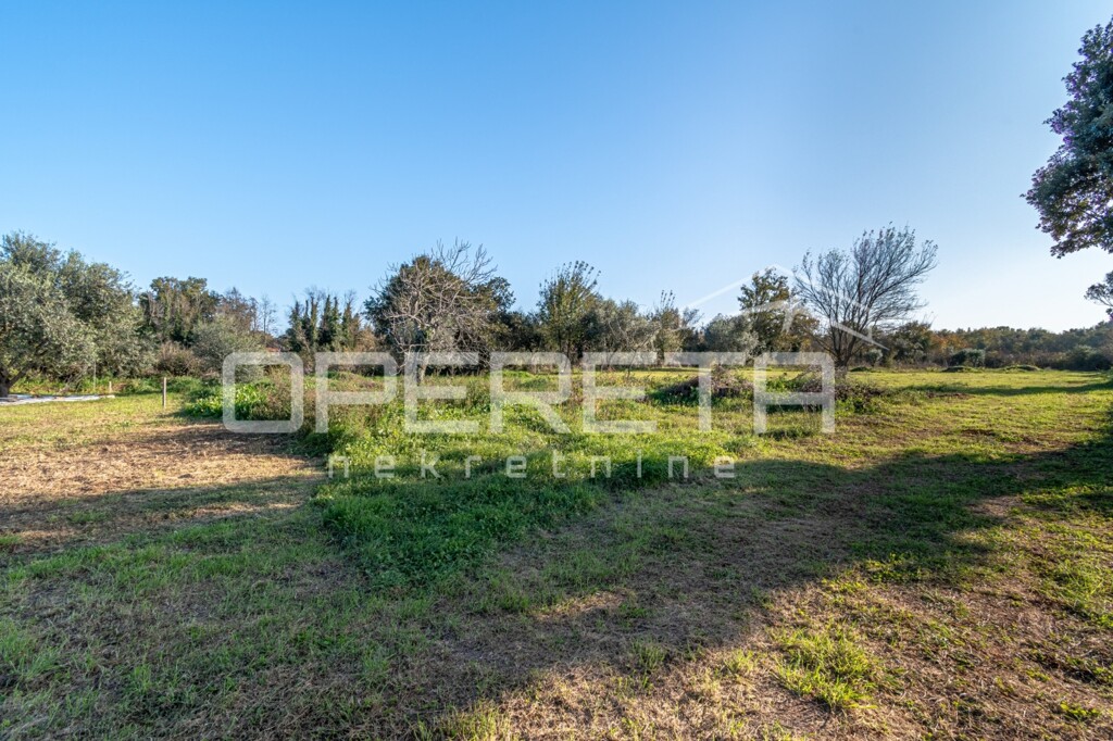 Image 6170404 - 4