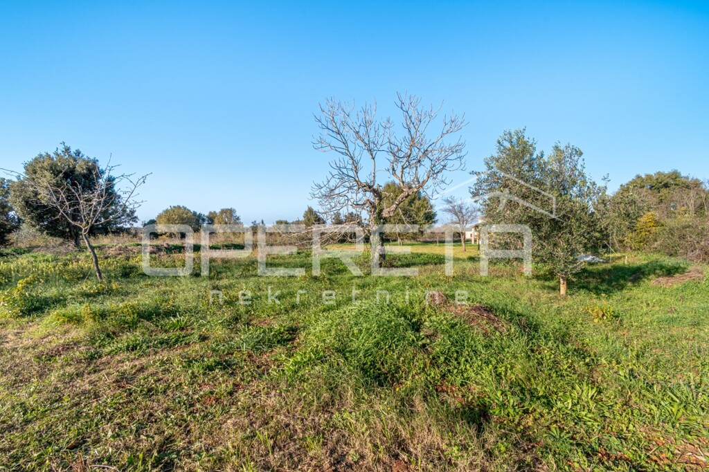 Image 6170404 - 3