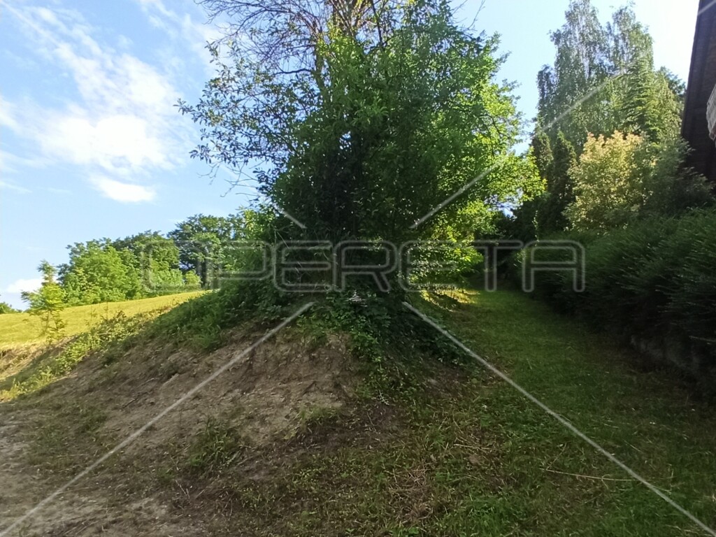 Image 6170415 - 4