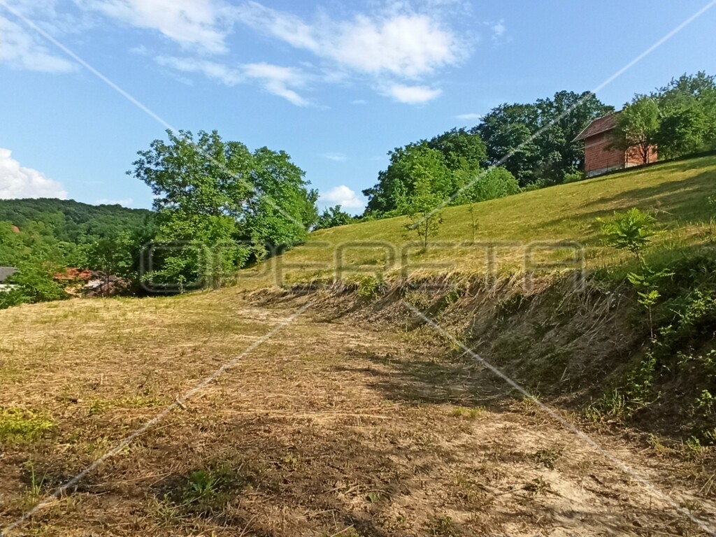 Image 6170415 - 1