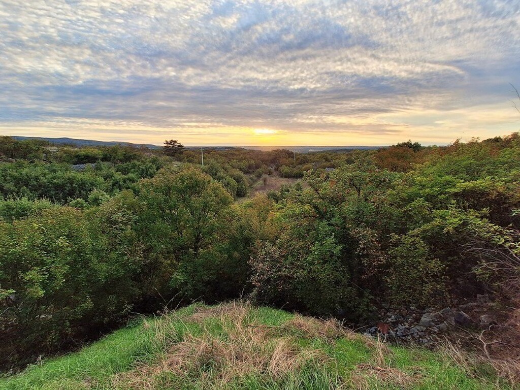 Image 6170731 - 1