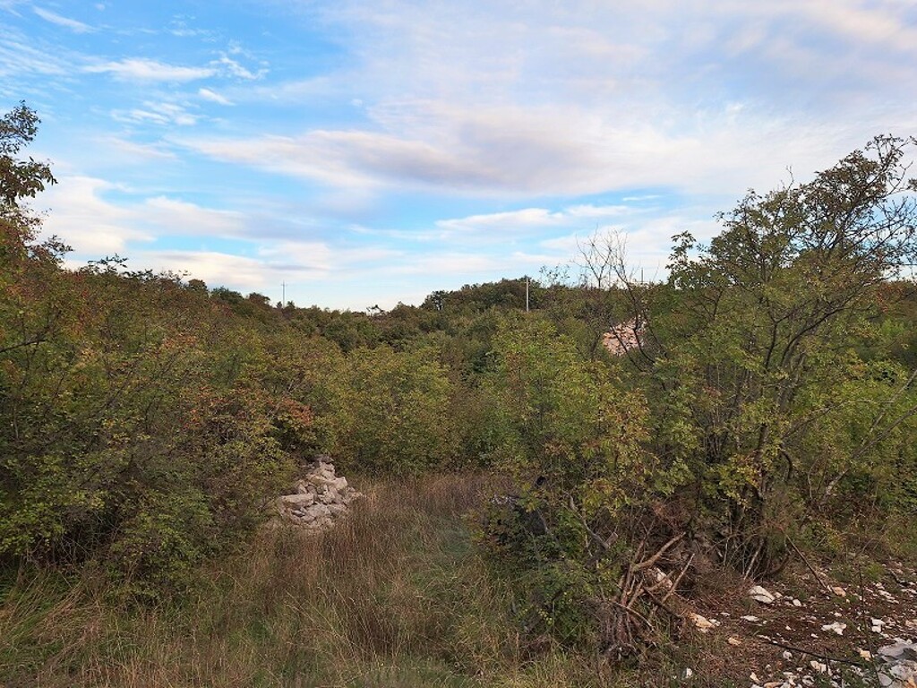 Image 6170731 - 4