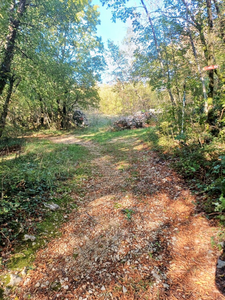 Image 6170732 - 5