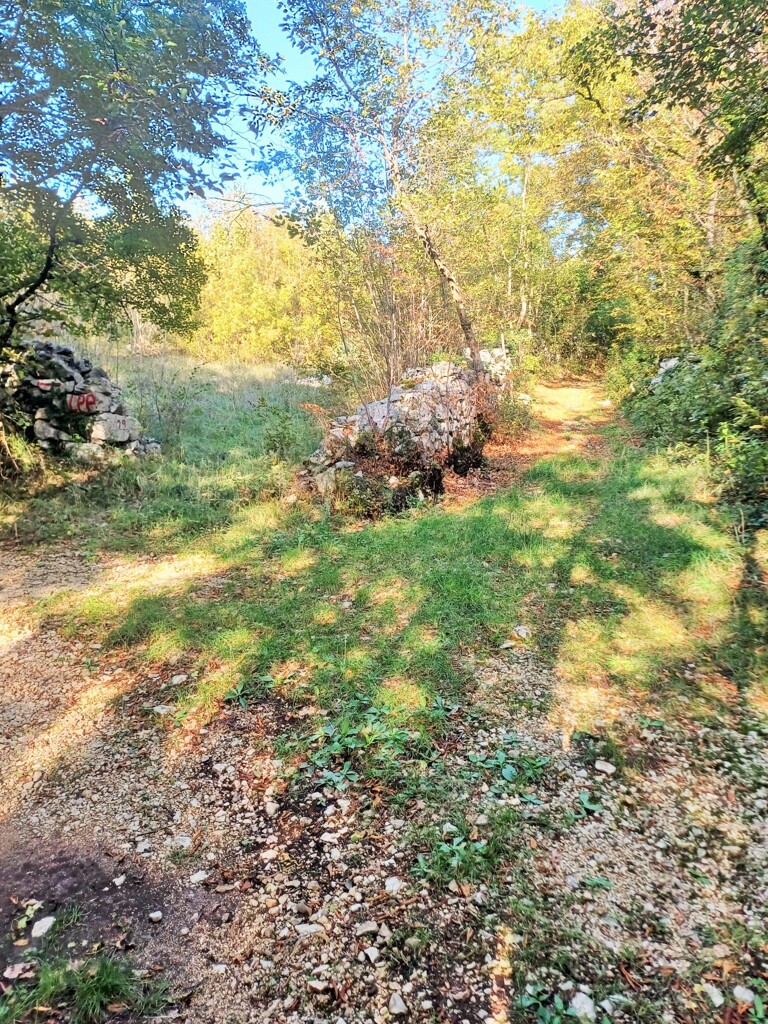 Image 6170732 - 4
