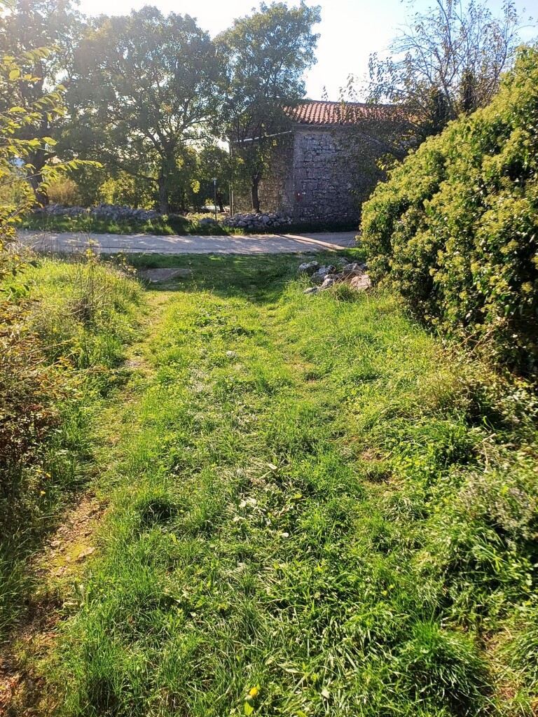 Image 6170732 - 2