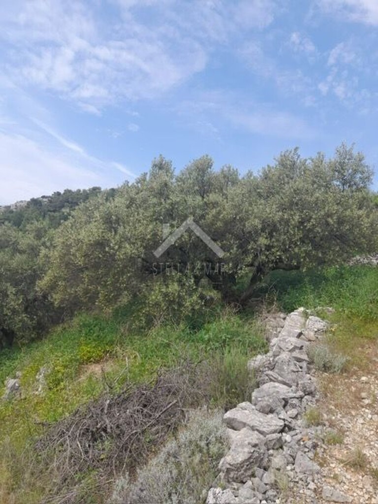 Image 6170819 - 5