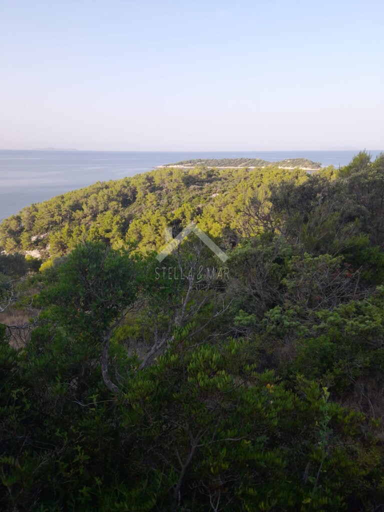 Image 6170819 - 3