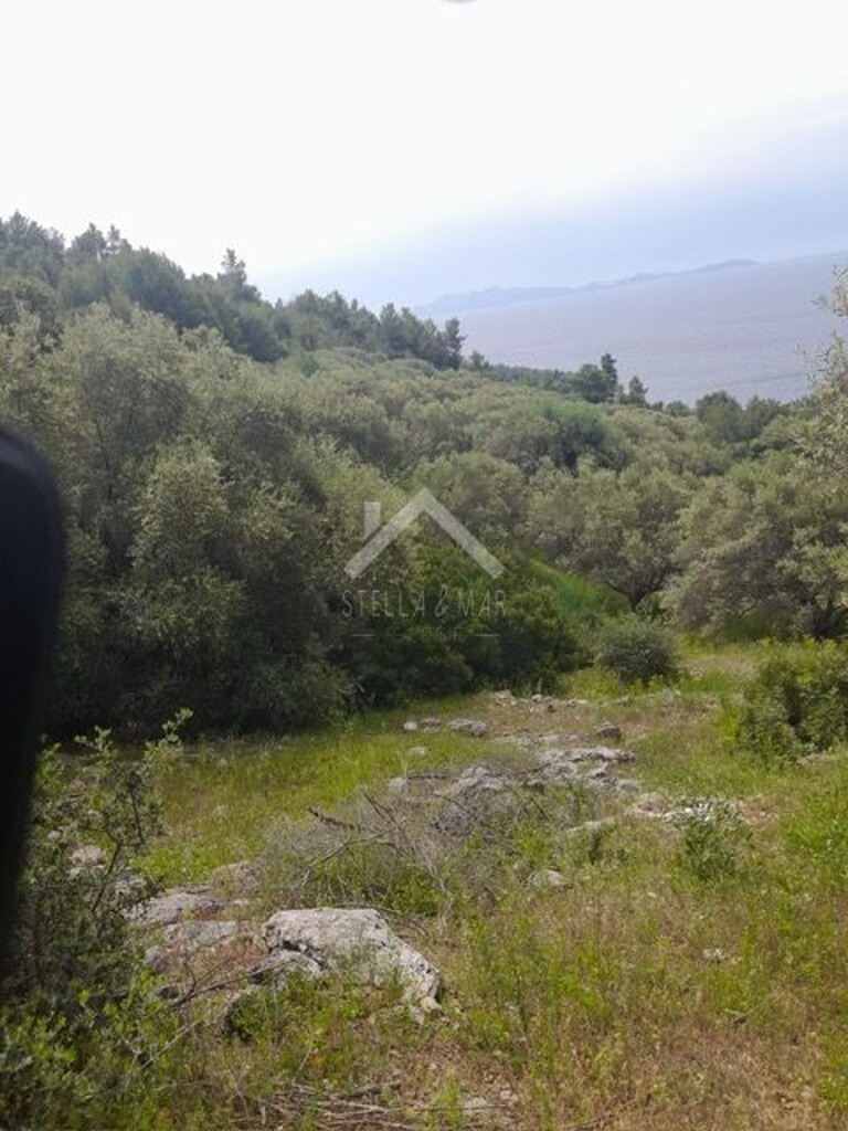Image 6170819 - 7