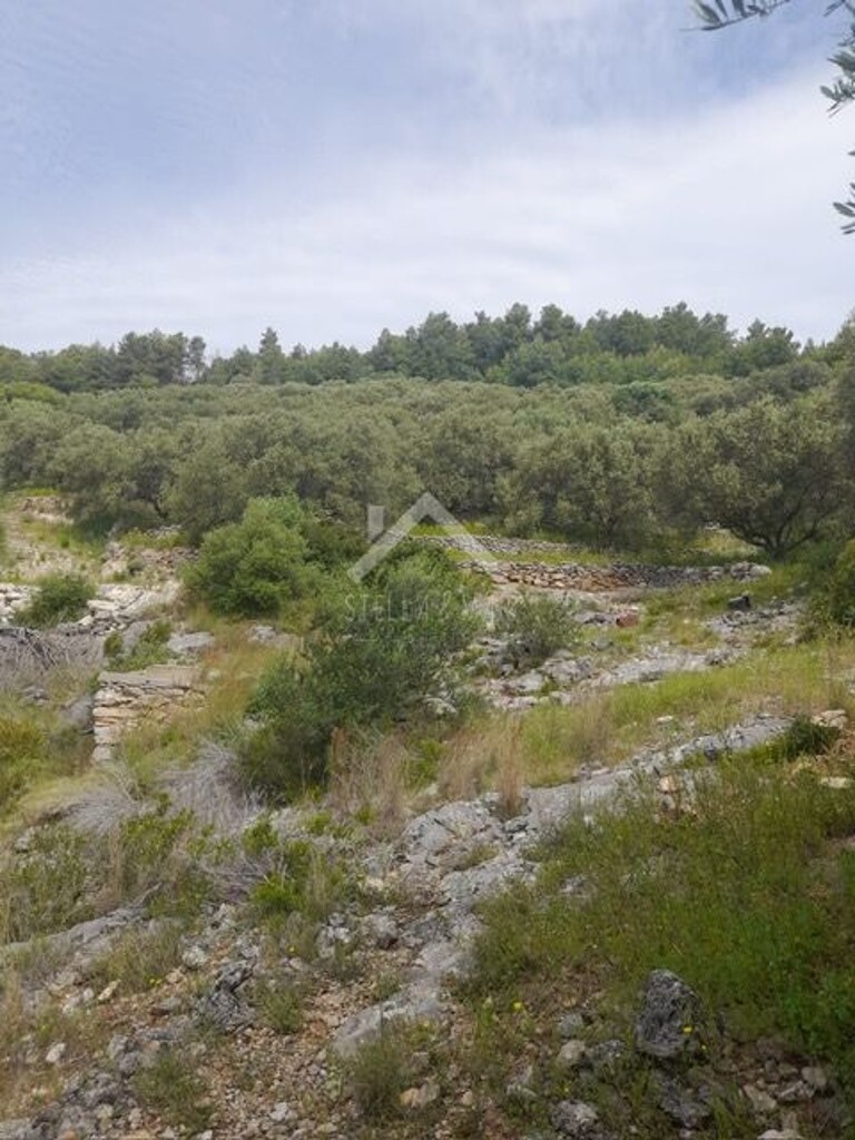 Image 6170819 - 8