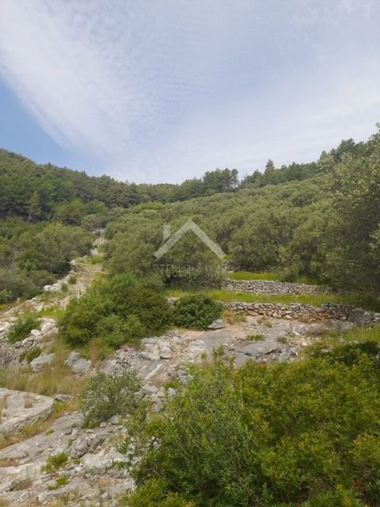 Image 6170819 - 10