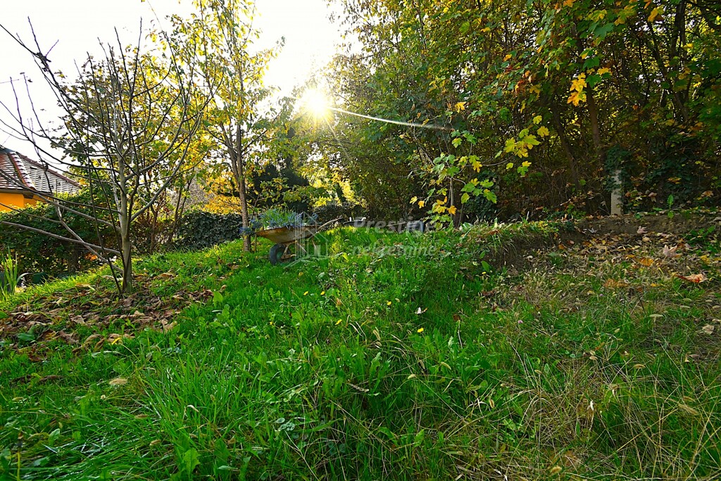 Image 6170820 - 15