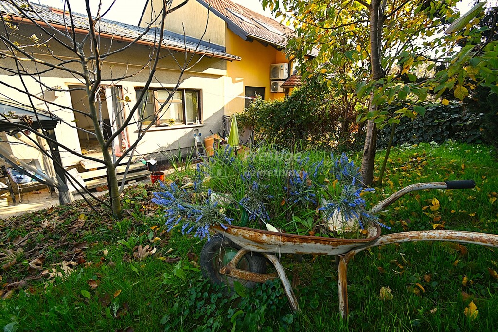 Image 6170820 - 16