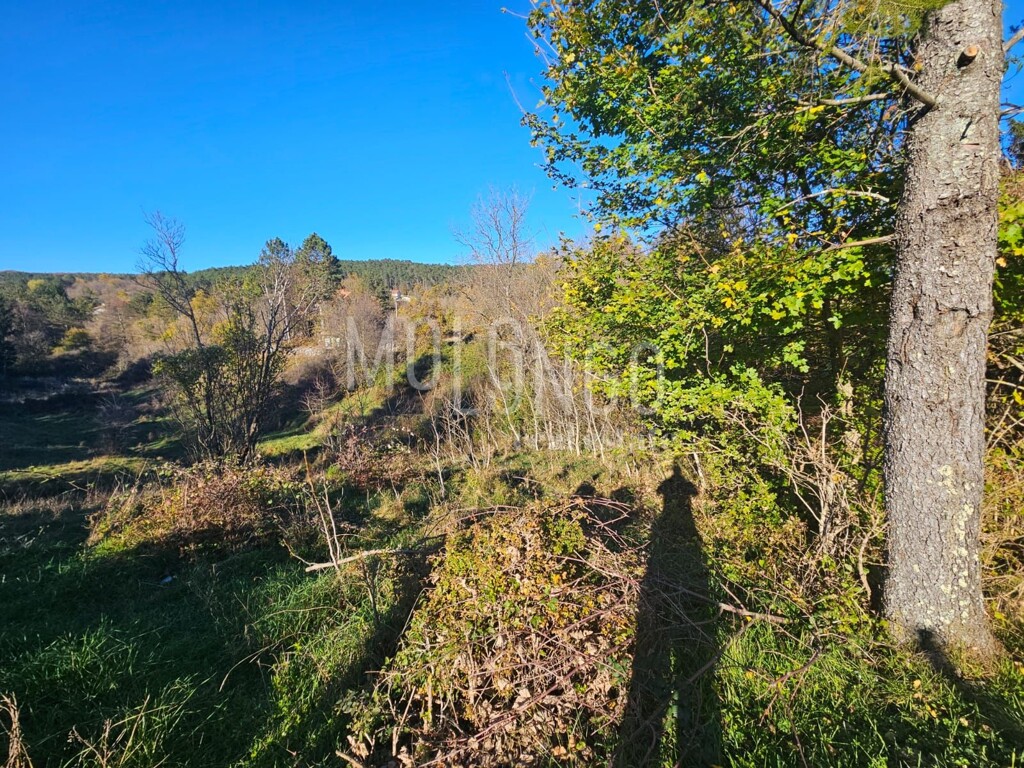 Image 6170932 - 3
