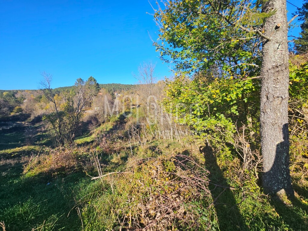 Image 6170932 - 2