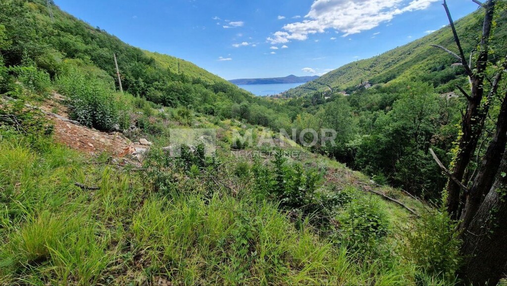Image 6170987 - 2