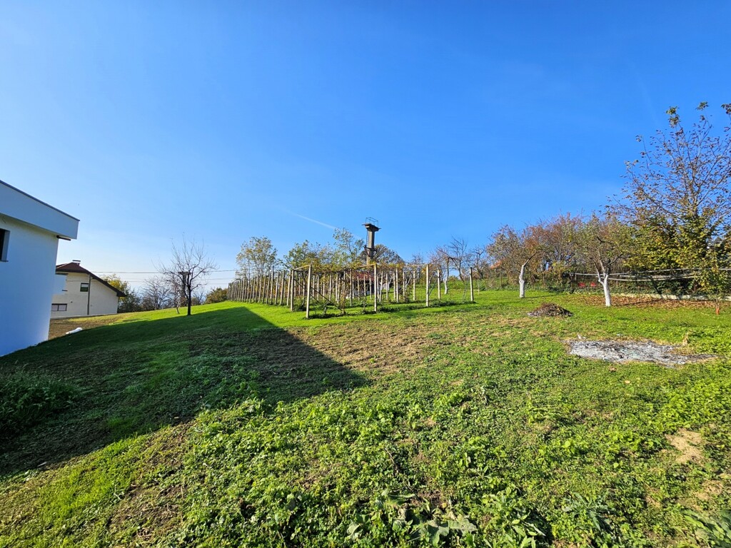 Image 6171441 - 9