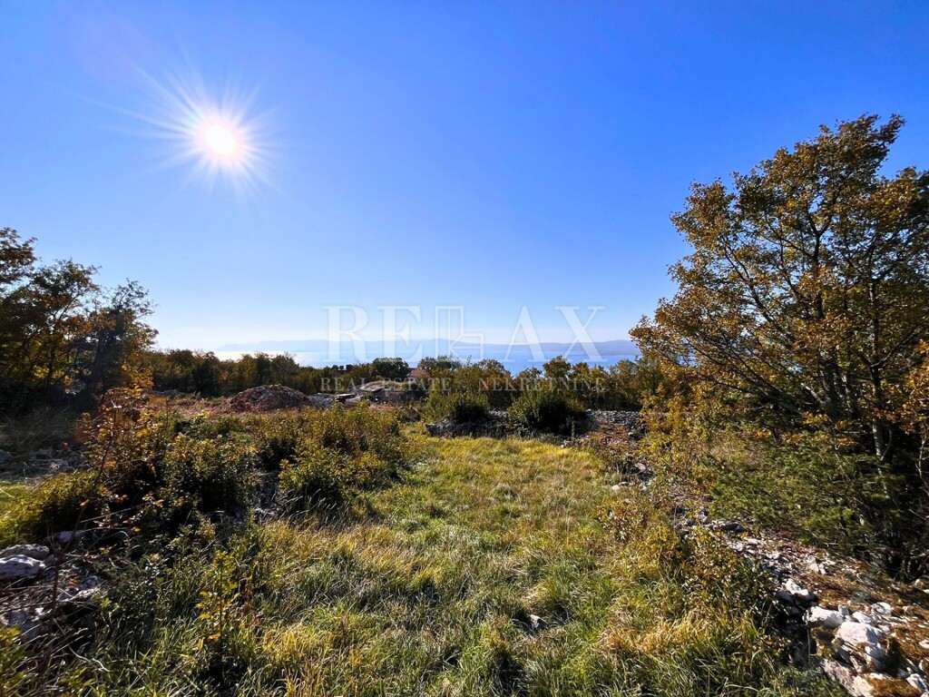 Image 6171503 - 2
