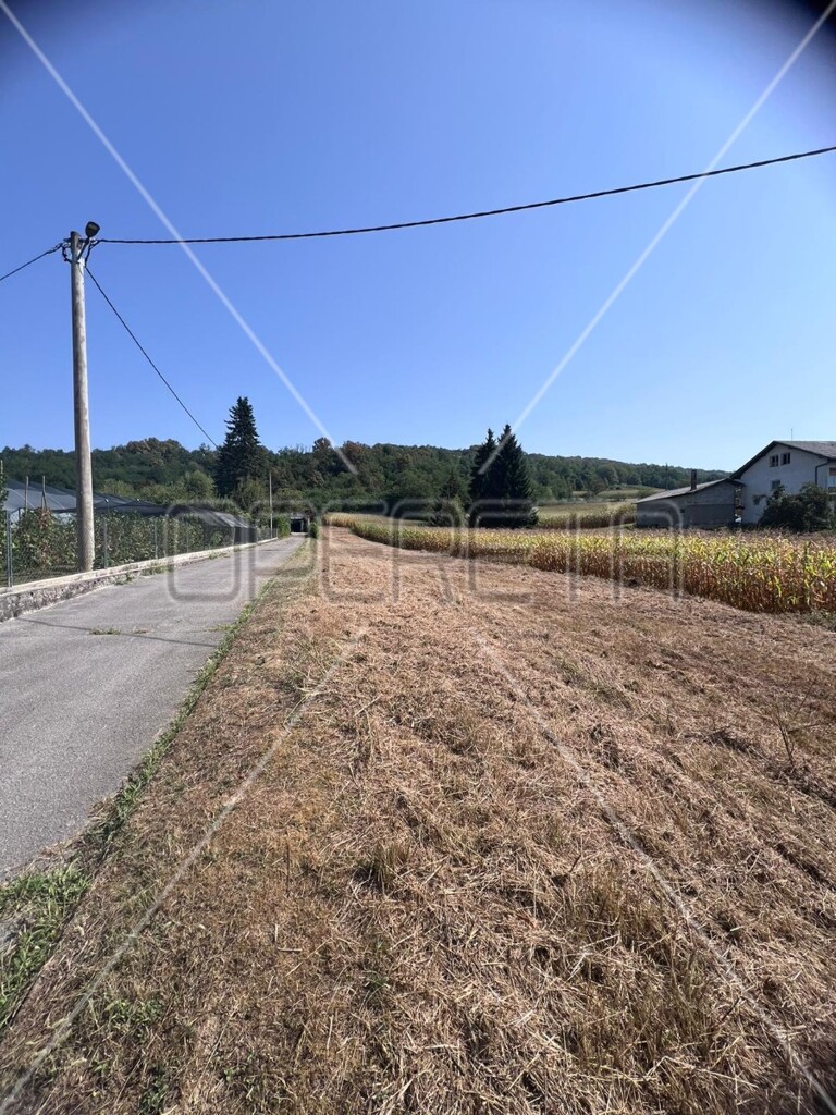 Image 6171508 - 4