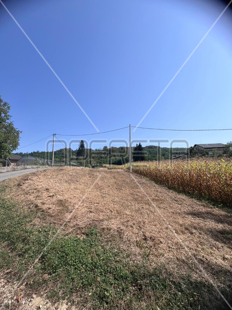 Image 6171508 - 3