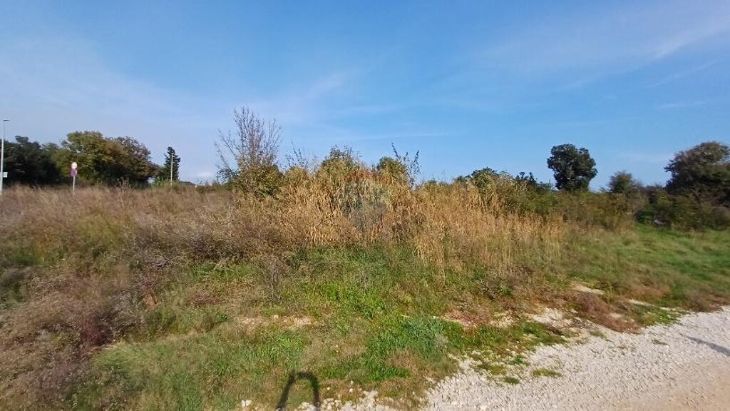 Image 6171645 - 3