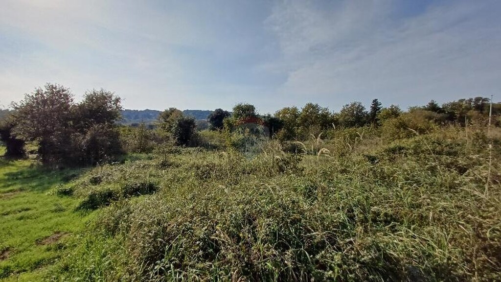 Image 6171645 - 4
