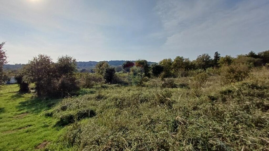 Image 6171645 - 7