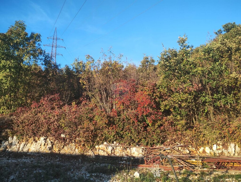 Image 6171650 - 2