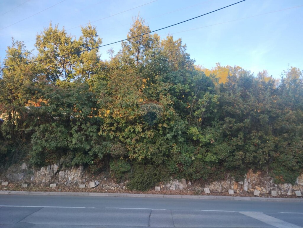 Image 6171650 - 3