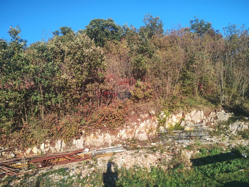 Image 6171650 - 6