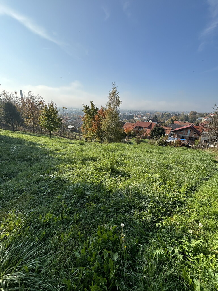 Image 6171709 - 2