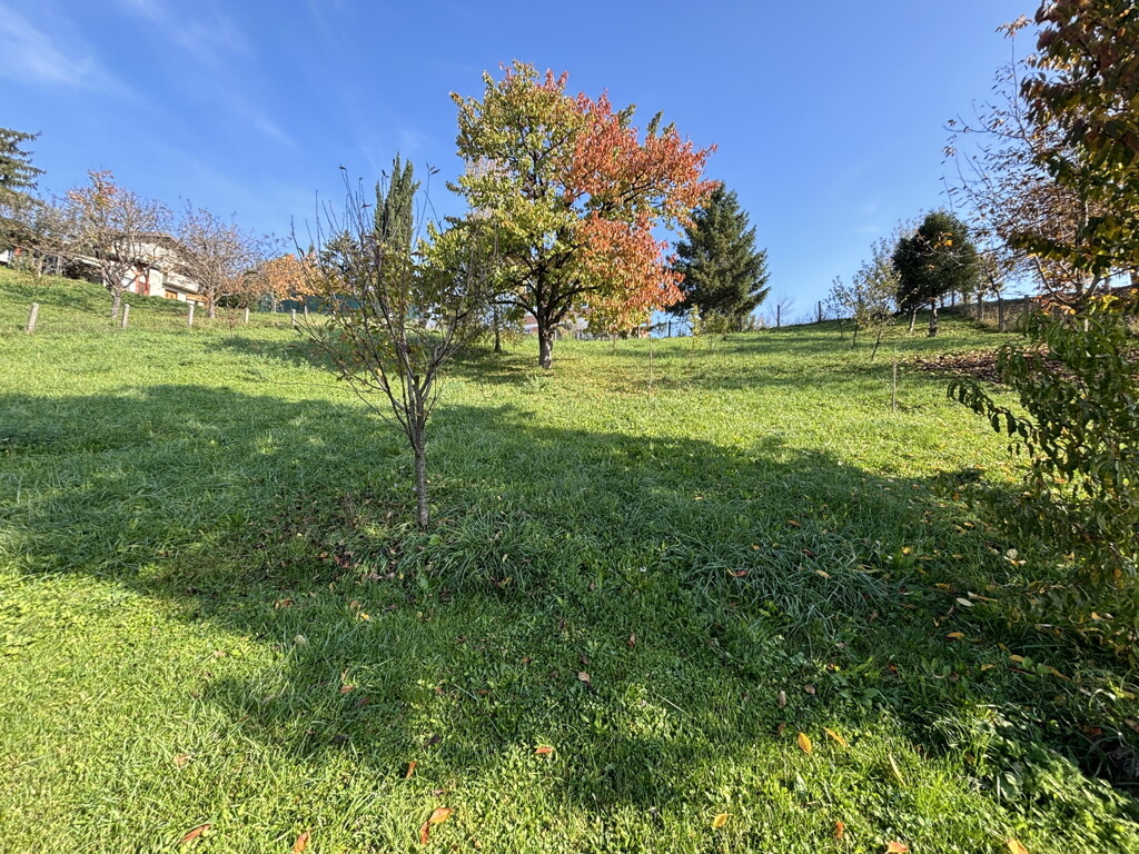 Image 6171709 - 5