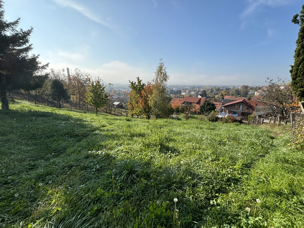 Image 6171709 - 1