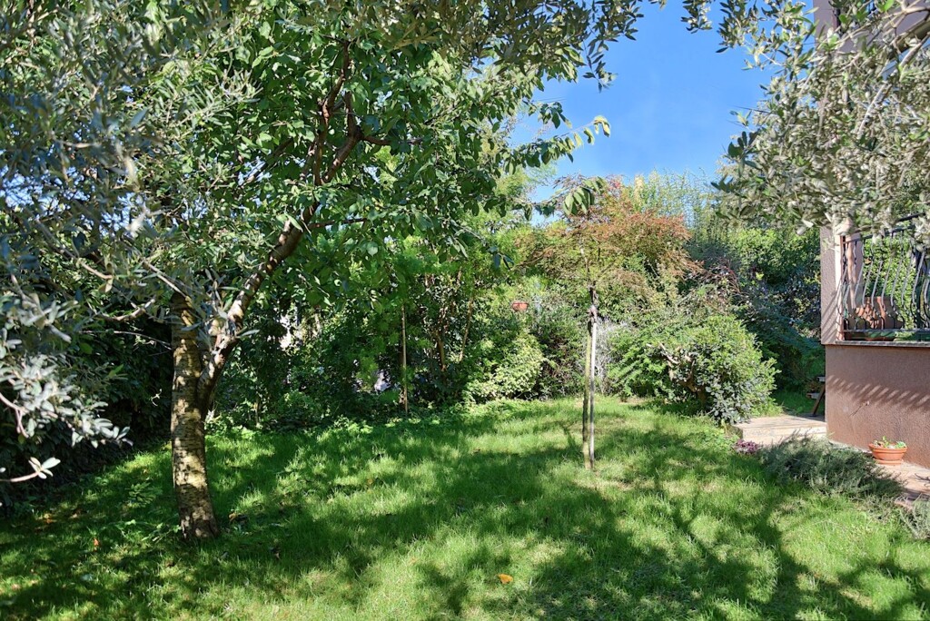 Image 6171728 - 10