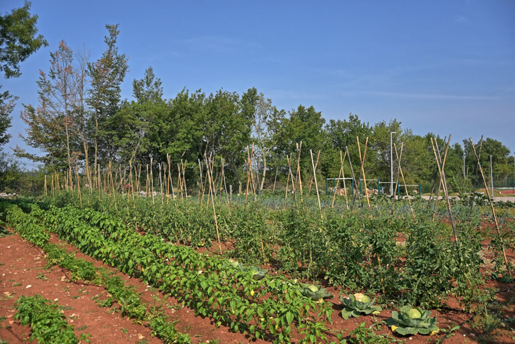 Image 6171756 - 23