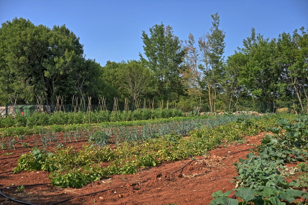 Image 6171757 - 18