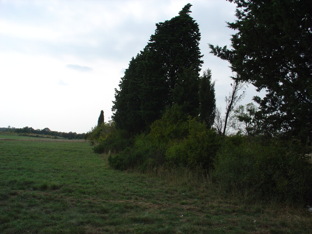 Image 6171758 - 7