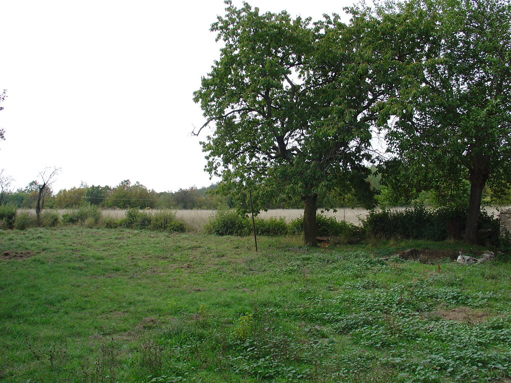 Image 6171758 - 6