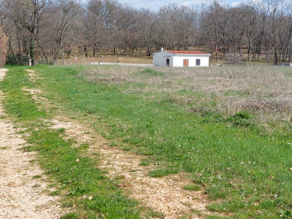 Image 6171765 - 1