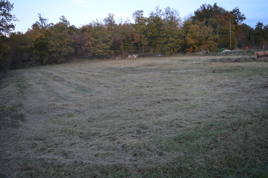 Image 6171766 - 3