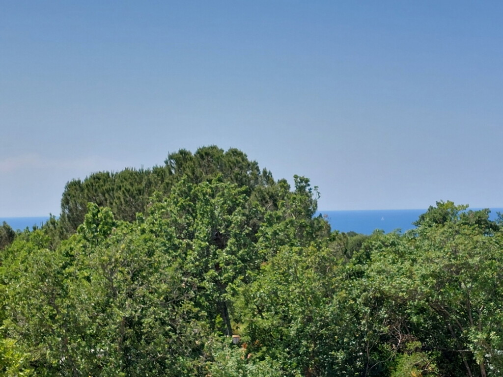 Image 6171820 - 2