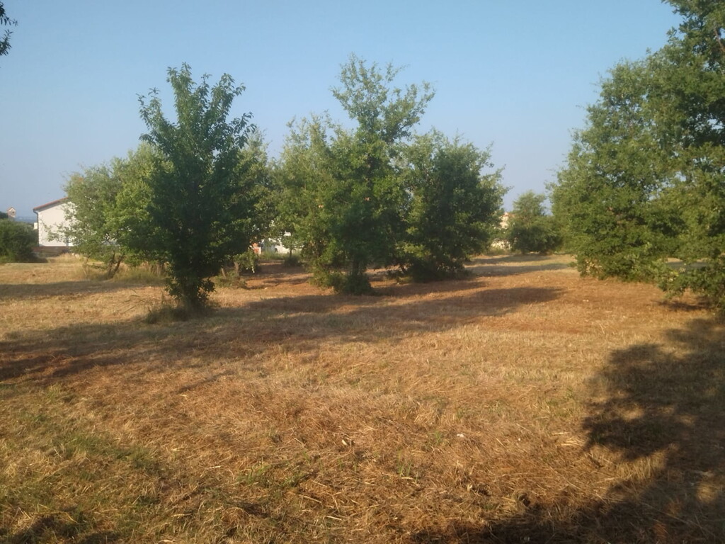 Image 6171848 - 4