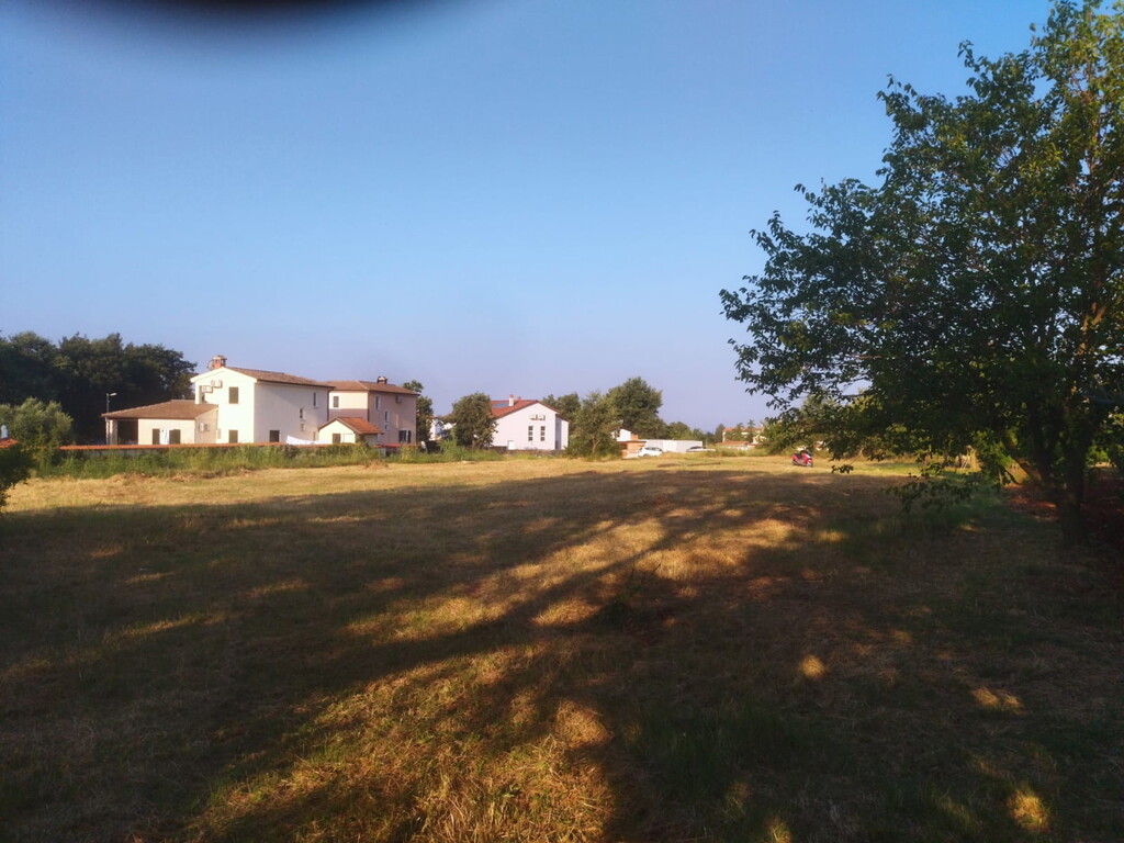 Image 6171848 - 3