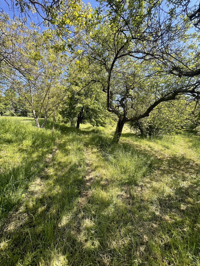 Image 6171906 - 4