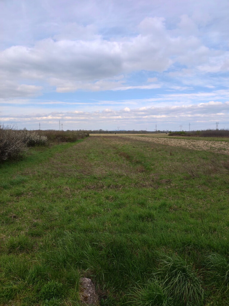 Image 6171931 - 2