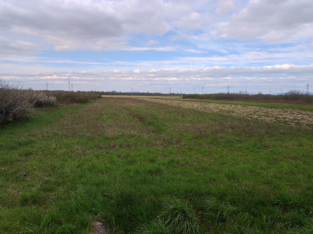 Image 6171931 - 1